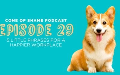 PODCAST: Cone of Shame Episode 29: 5 Little Phrases for a Happier Workplace